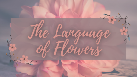 The Language of Flowers