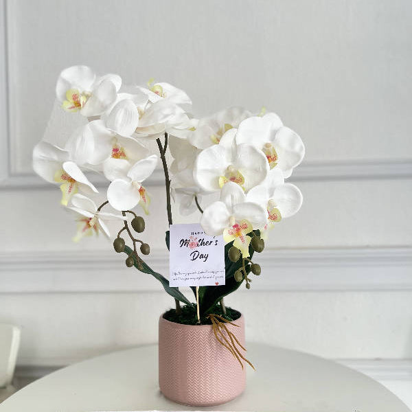 Orchid In Vase (Artificial Flower) (Kuching Delivery Only) Giftr Malaysia's Leading Online