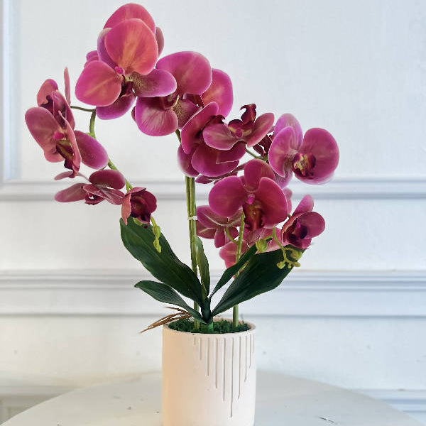 Orchid In Vase (Artificial Flower) (Kuching Delivery Only) Giftr Malaysia's Leading Online