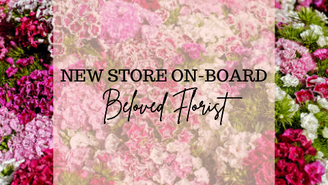 Beloved Florist New Launch + Exclusive Offer