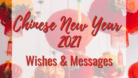 Chinese New Year Wishes & Messages🏮