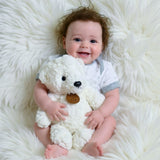 Angeliz Little Tuxedo Onesies Party Grow Premium Cakebox Hamper 12 Pcs (Klang Valley Delivery Only)