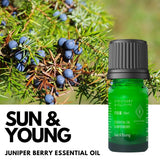 Juniper Berry Essential Oil [Nationwide Delivery]
