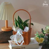 The Leaf Buddies (Klang Valley Delivery Only) - Mother's Day Flowers & Gifts 2026