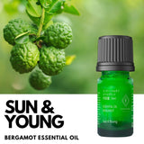 Bergamot Essential Oil [Nationwide Delivery]