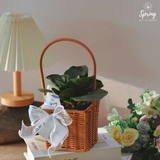 The Leaf Buddies (Klang Valley Delivery Only) - Mother's Day Flowers & Gifts 2026