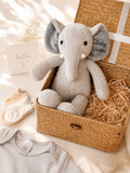 The Gentle Giant | Grey Theme Personalizable Newborn Baby Gift Set (Nationwide Delivery)
