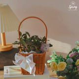 The Leaf Buddies (Klang Valley Delivery Only) - Mother's Day Flowers & Gifts 2026