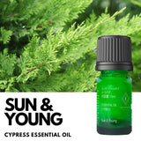 Cypress Essential Oil [Nationwide Delivery]