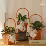 The Leaf Buddies (Klang Valley Delivery Only) - Mother's Day Flowers & Gifts 2026