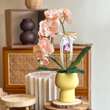 (Mother's Day 2024) Samira Artificial Orchid Vase  (Klang Valley Delivery Only)