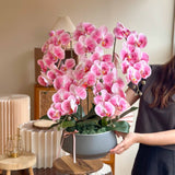 (Mother's Day 2024) Cassandra Artificial Orchid Vase  (Klang Valley Delivery Only)