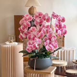 (Mother's Day 2024) Cassandra Artificial Orchid Vase  (Klang Valley Delivery Only)