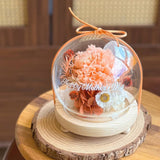 Gillan Preserved Carnation Globe (Klang Valley Delivery Only)