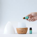 GO LUCKY: Cool Mist Diffuser Gift Set
