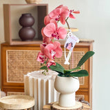 (Mother's Day 2024) Samira Artificial Orchid Vase  (Klang Valley Delivery Only)