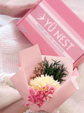 Bird Nest 4 bottle with Carnation flower - Package A