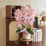 Pamela Artificial Orchid Vase (Klang Valley Delivery)