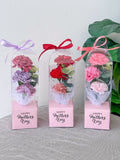Mother's Day 2024 - Artificial Soap Carnation Petite Box (Klang Valley Delivery Only)