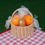 Garden Premium Selection Fruit Basket (8 Types of Fruits)