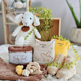 Angeliz Lovely Sheep Wooden Box 8pcs Set - Neutral(Nationwide Delivery)