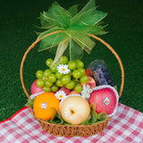 Garden Premium Selection Fruit Basket (8 Types of Fruits)