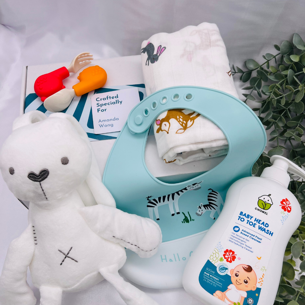Cuddle & Comfort Baby Gift Box Klang Valley Delivery Giftr
