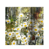 BDARI Flask - Daisy (Nationwide Delivery)
