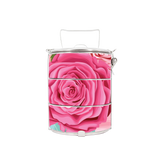 BDARI Tiffin Carrier - Roses B (Nationwide Delivery)