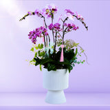 Elegant Phalaenopsis Orchid Arrangement