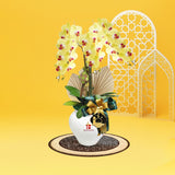 Mimpi Phalaenopsis Orchid (3 stalk) - Hari Raya Hampers & Gifts 2026