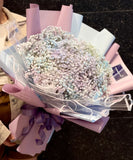 Assorted Baby Breaths | Hand Bouquet