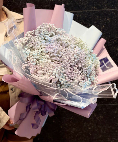 Assorted Baby Breaths | Hand Bouquet