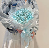 Assorted Baby Breaths | Hand Bouquet