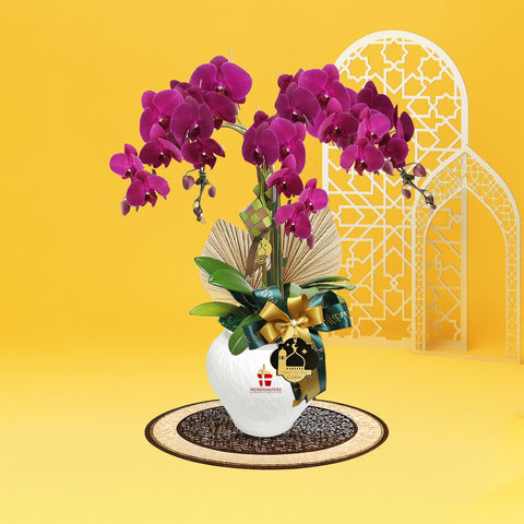 Mimpi Phalaenopsis Orchid (3 stalk) - Hari Raya Hampers & Gifts 2026