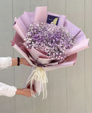 Assorted Baby Breaths | Hand Bouquet