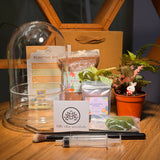Bell Indoor plants Terrarium DIY Set (S)
