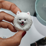 Pet Plaster 3D Avatar