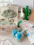Roaring Dinosour | Newborn Baby Gift Set (Penang Delivery Only)