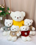 Assorted Sweater Bears (LARGE)
