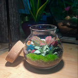 Round Covered Glass Terrarium (Klang Valley Delivery)