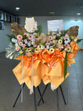 Success Shines Double Grand Stand (Klang Valley Delivery)