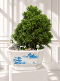 Foggy Pine Mini Landscape Bonsai (Klang Valley Delivery)