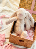 My First Cuddle ｜ Personalized Baby Gift Set, 0 - 9 months Infant Pink Girl (Klang Valley Delivery)