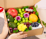 Zus Lush Fruit Box (M)