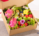 Dragon-I Fruit Box (M)