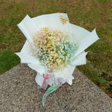 Cotton Candy Fresh Baby Breath (Klang Valley Delivery)