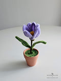 Mother's Day 2024 Scentales Dainty Flower Pot (Johor Bahru Delivery Only)