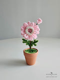 Mother's Day 2024 Scentales Dainty Flower Pot (Johor Bahru Delivery Only)