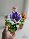 Mother's Day 2024 Scentales Dainty Flower Pot (Johor Bahru Delivery Only)